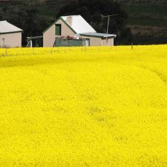 Страховка груза в Африке: где страхуют, где отказывают и как это спасает ваши поставки